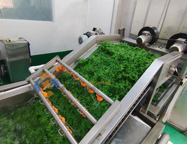 桑葉菜清洗流水線