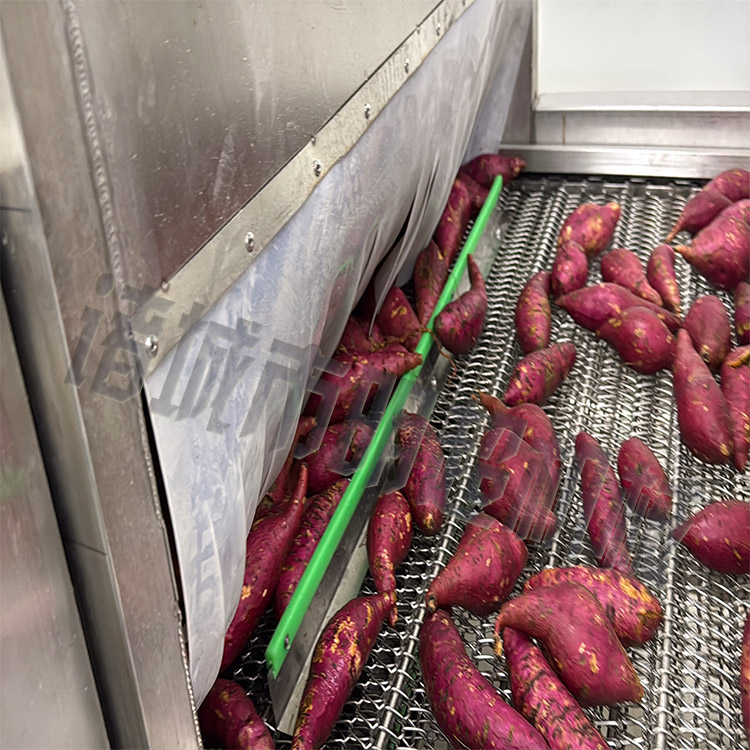 紅薯清洗愈合糖化設(shè)備