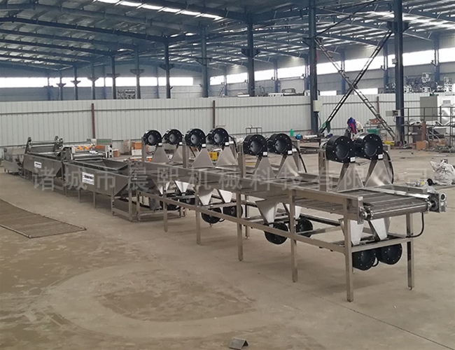 橄欖水果清洗機