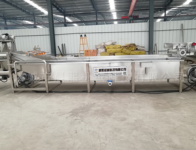 自動化四季蔥清洗機(jī)流水線