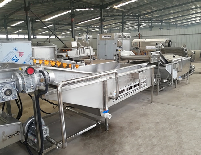 紅棗自動清洗機 氣泡式洗棗機